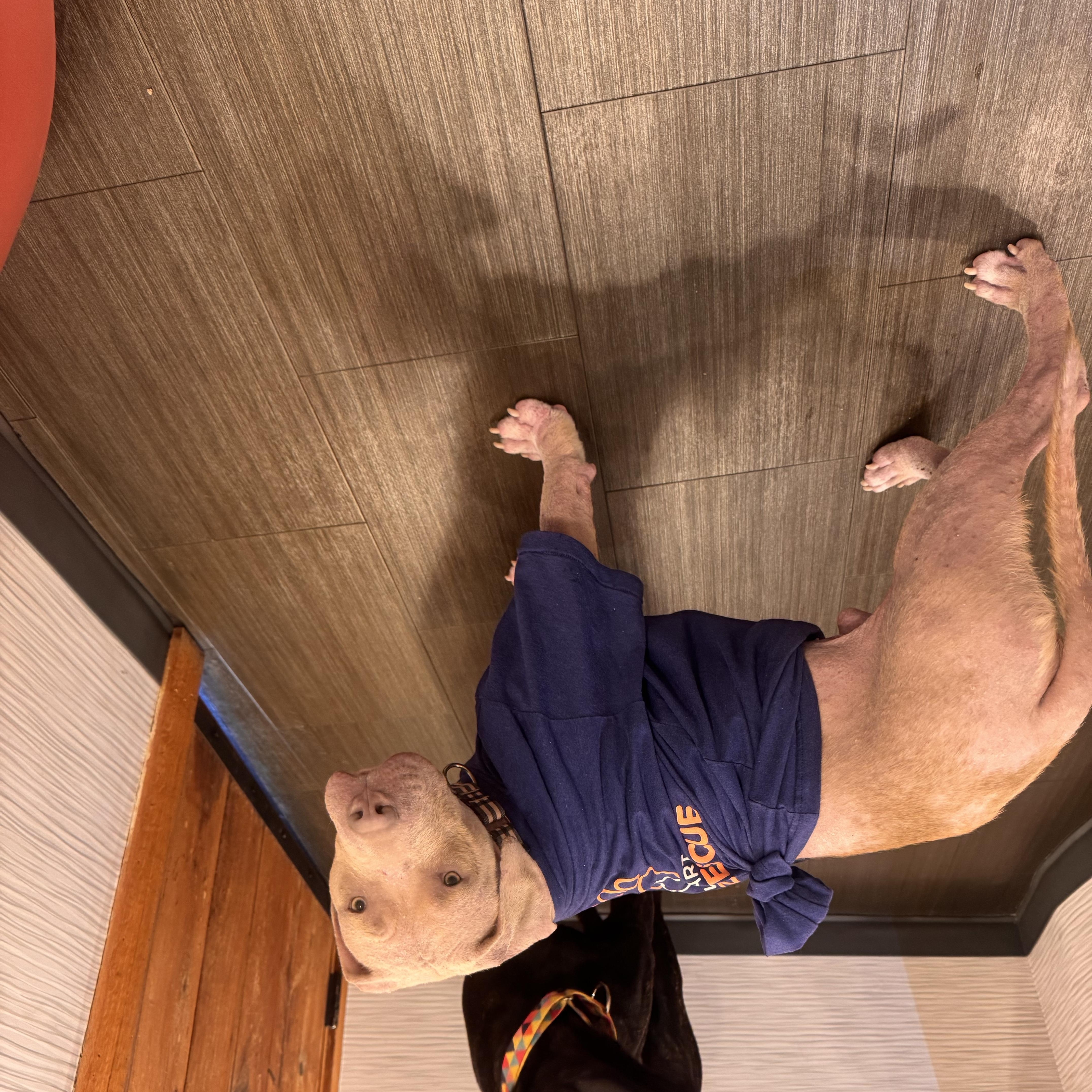Tater thumbnail 3