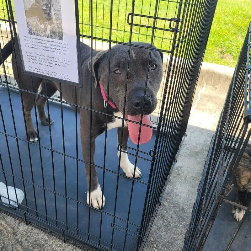 Mrs Maisel thumbnail 2