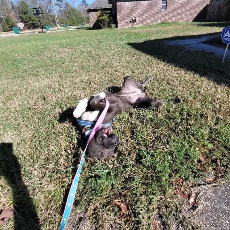 Mrs Maisel thumbnail 3