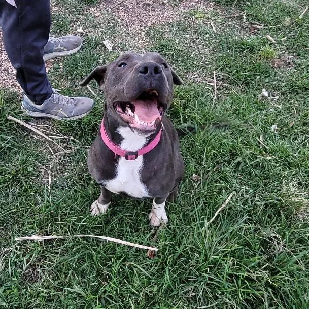 Mrs Maisel thumbnail 4