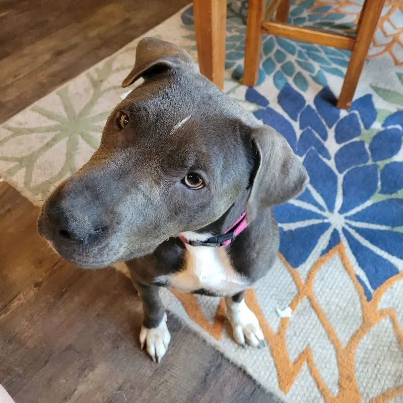 Mrs Maisel thumbnail 5