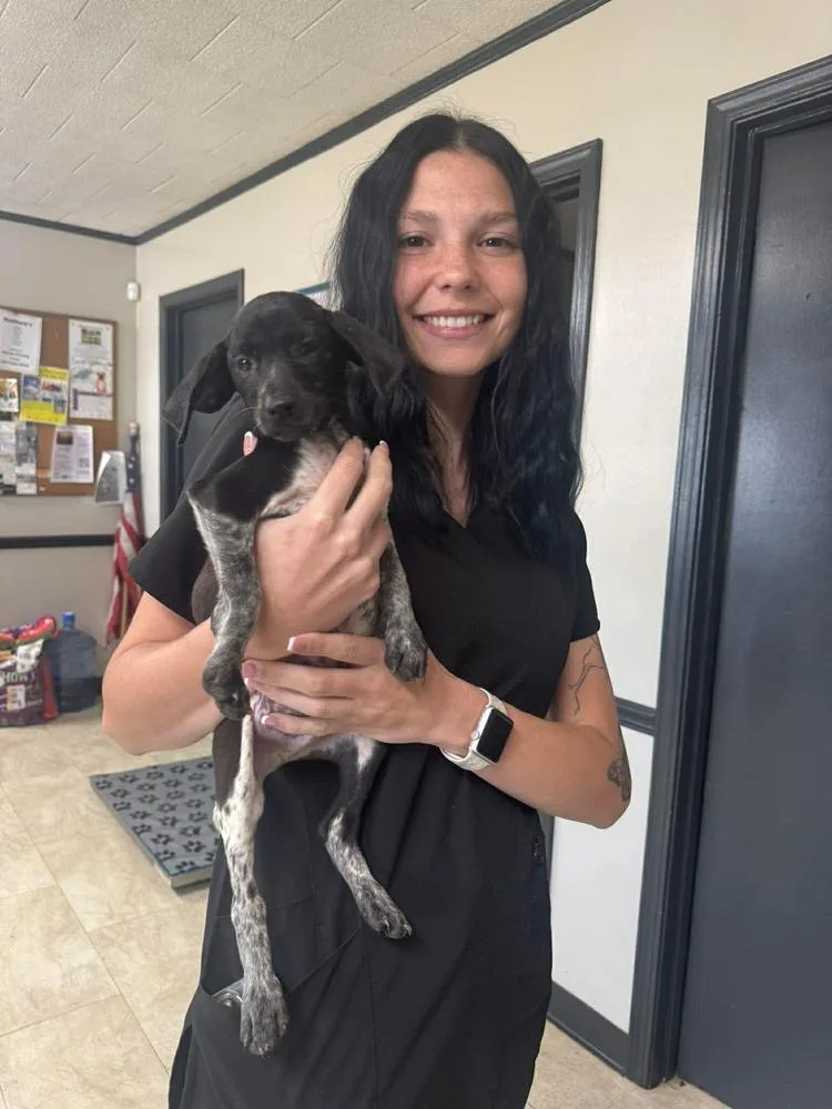Daniel "danny"