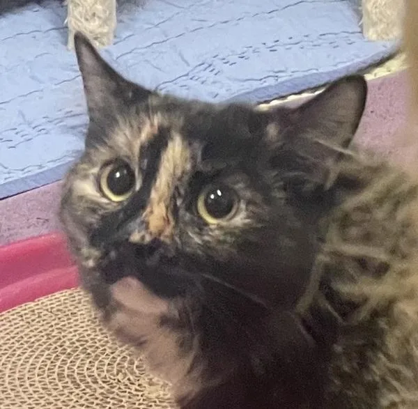 Luna