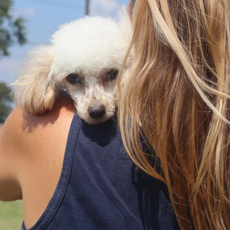 Toby thumbnail 2