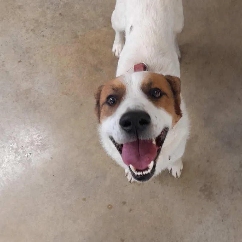 Stan Lee thumbnail 2