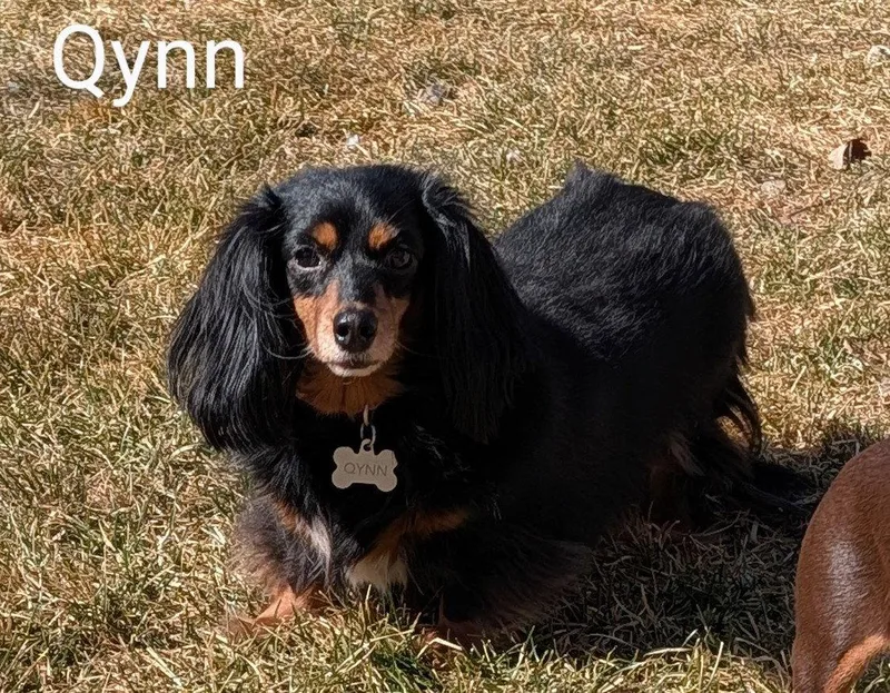Qynn thumbnail 2
