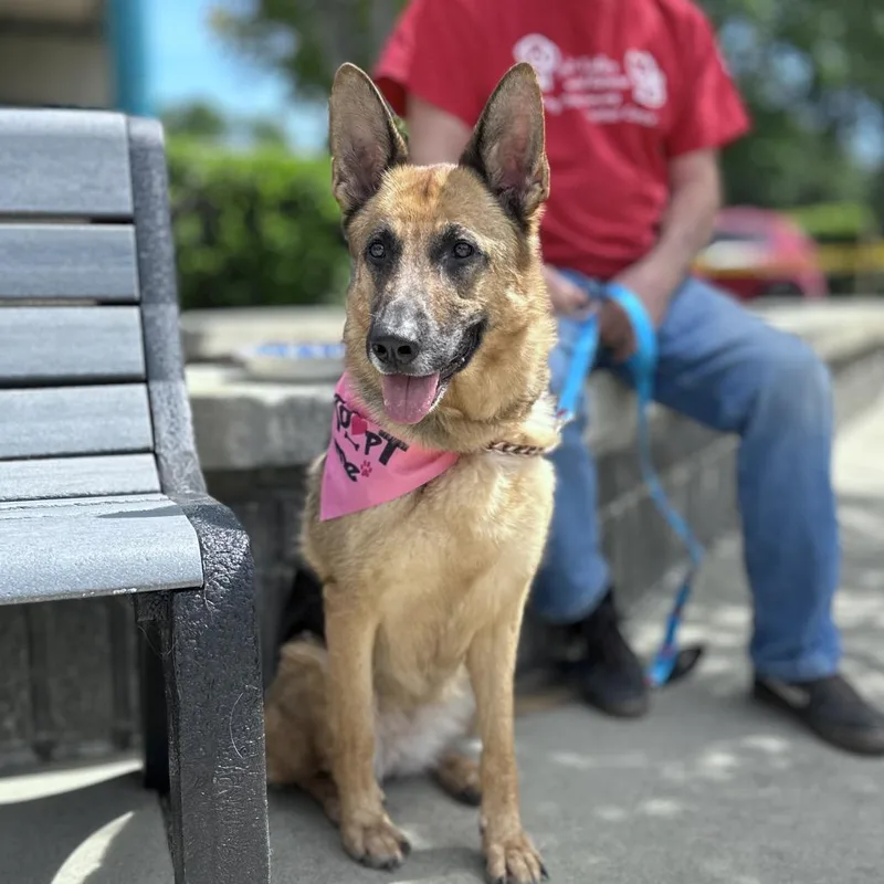 Bronwyn  Ecas thumbnail 2