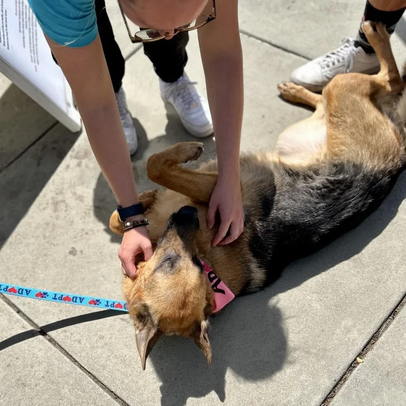 Bronwyn  Ecas thumbnail 4