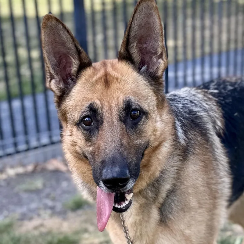 Bronwyn  Ecas thumbnail 5