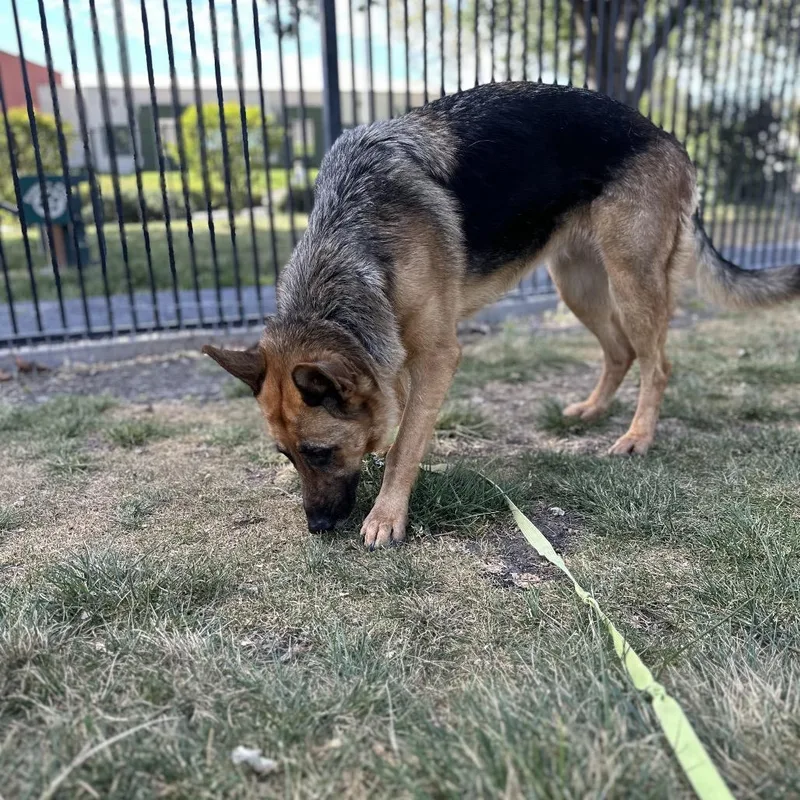 Bronwyn  Ecas thumbnail 6