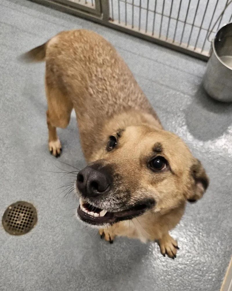 Osbourne thumbnail 3