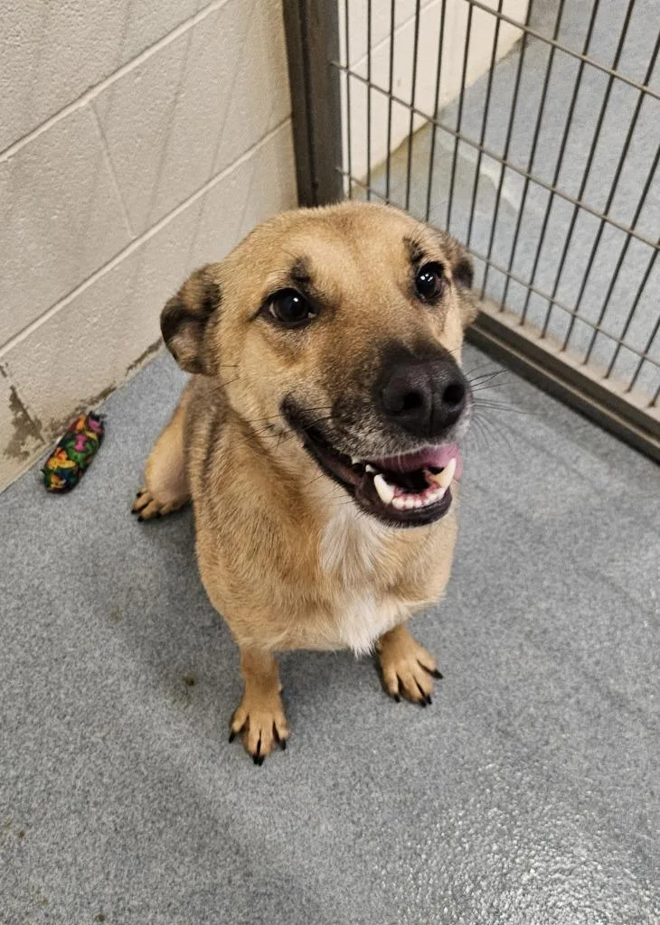 Osbourne thumbnail 4