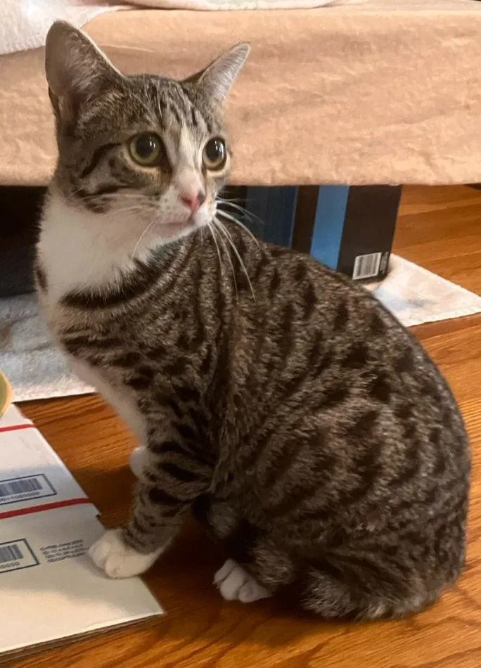 Valentina thumbnail 2