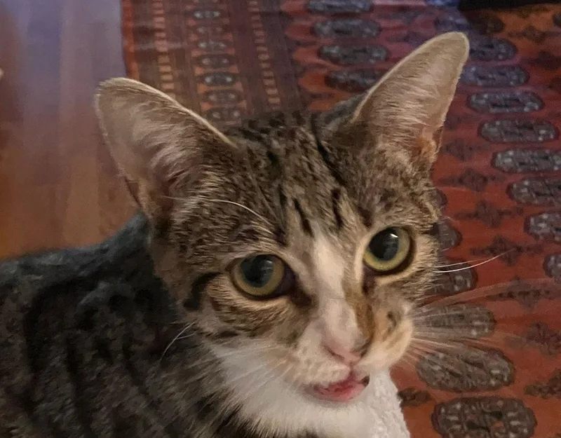 Valentina thumbnail 3