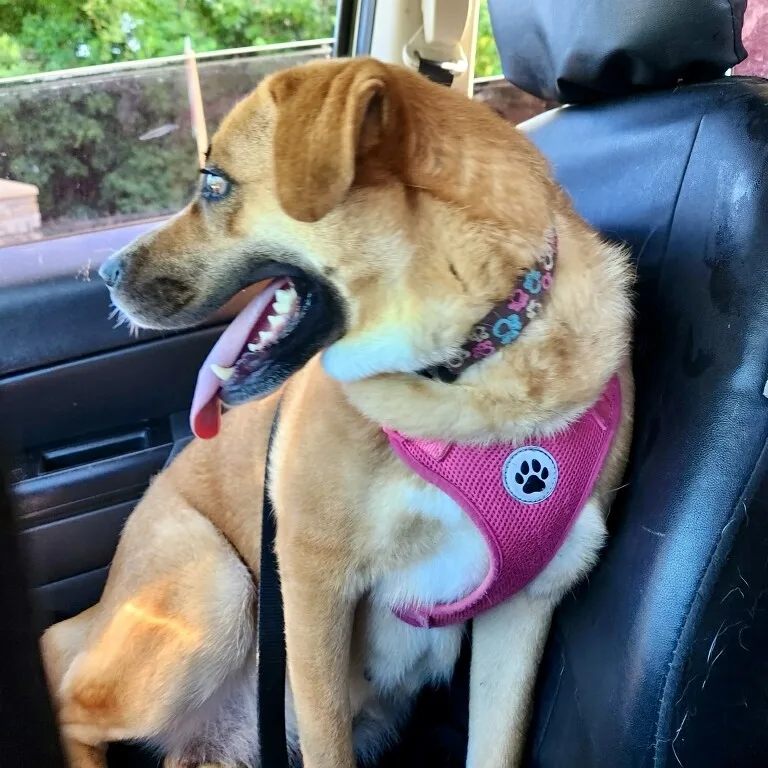 Ellie