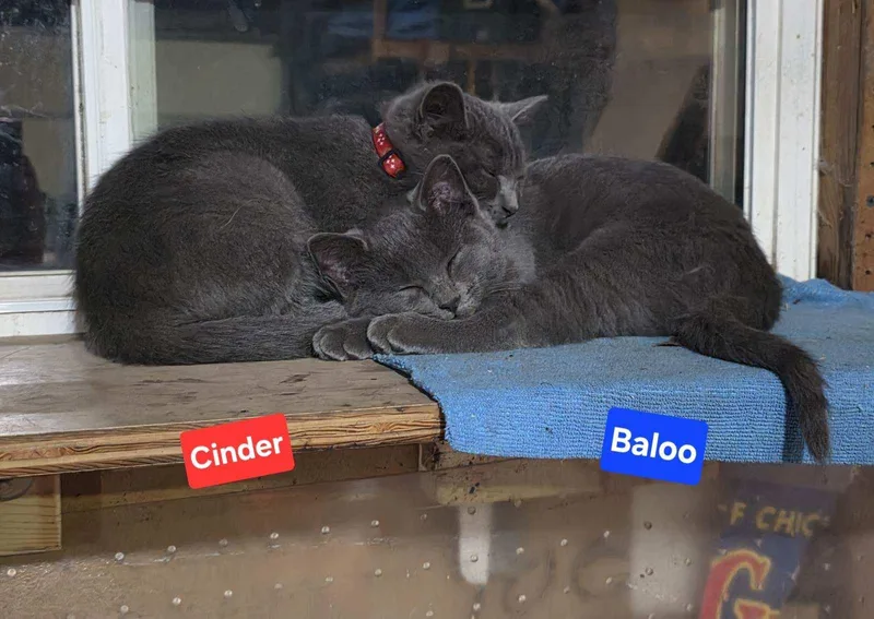 Cinder thumbnail 3