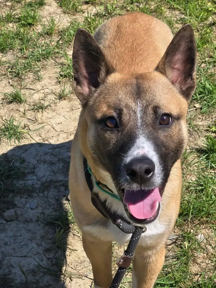 Warburton thumbnail 2