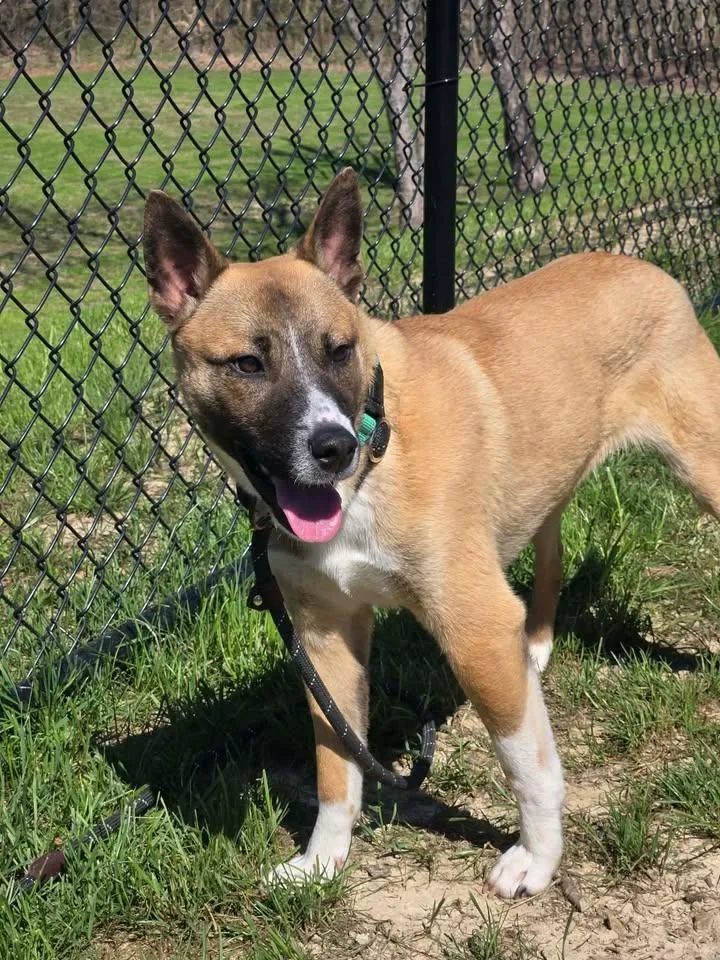 Warburton thumbnail 3