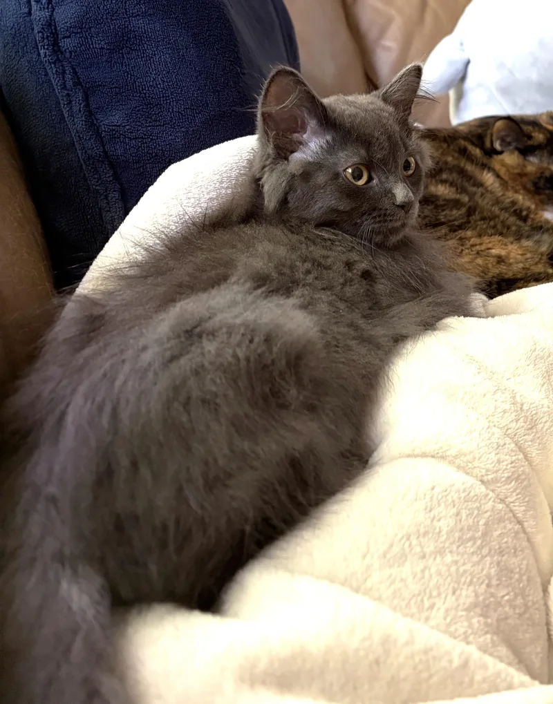 Sasha thumbnail 3