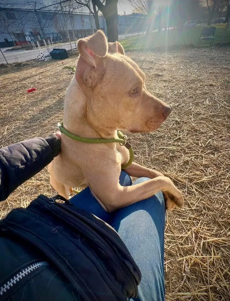 Waterford thumbnail 3