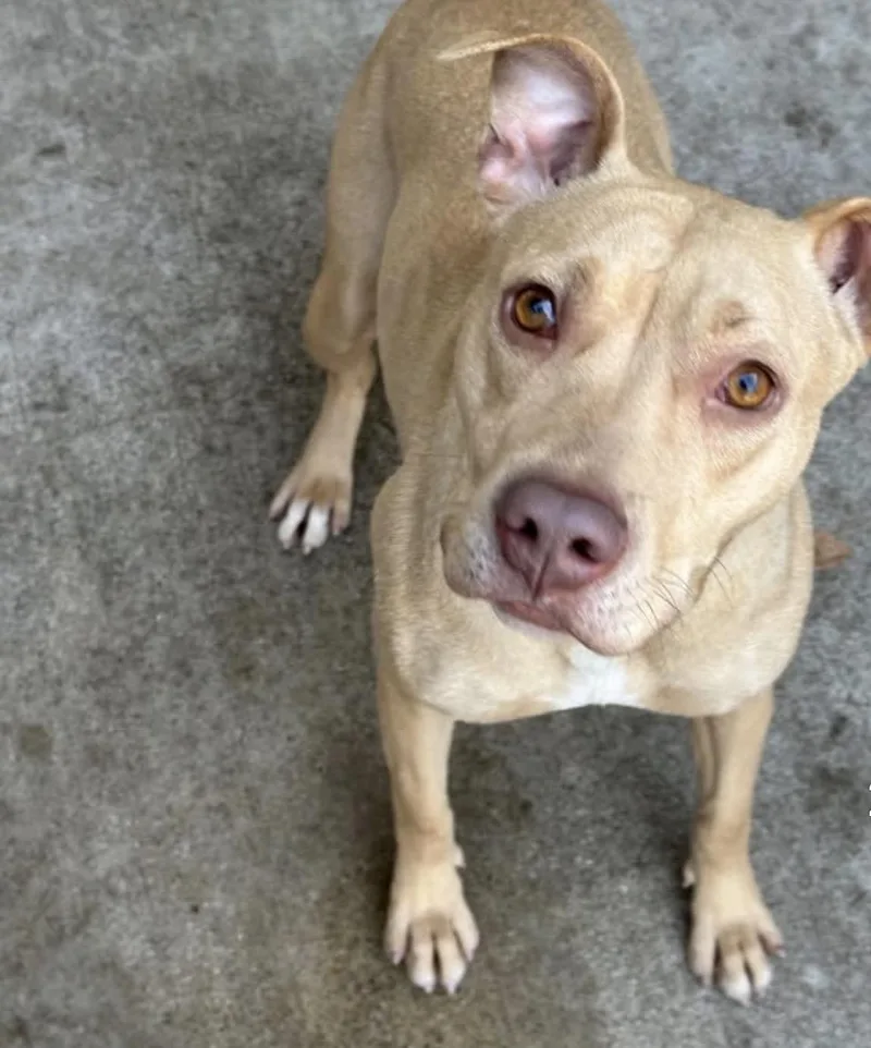 Waterford thumbnail 4