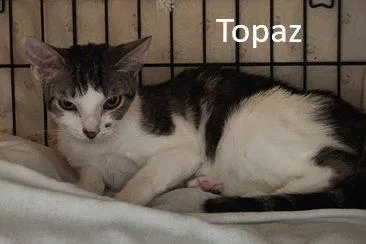 Topaz thumbnail 3