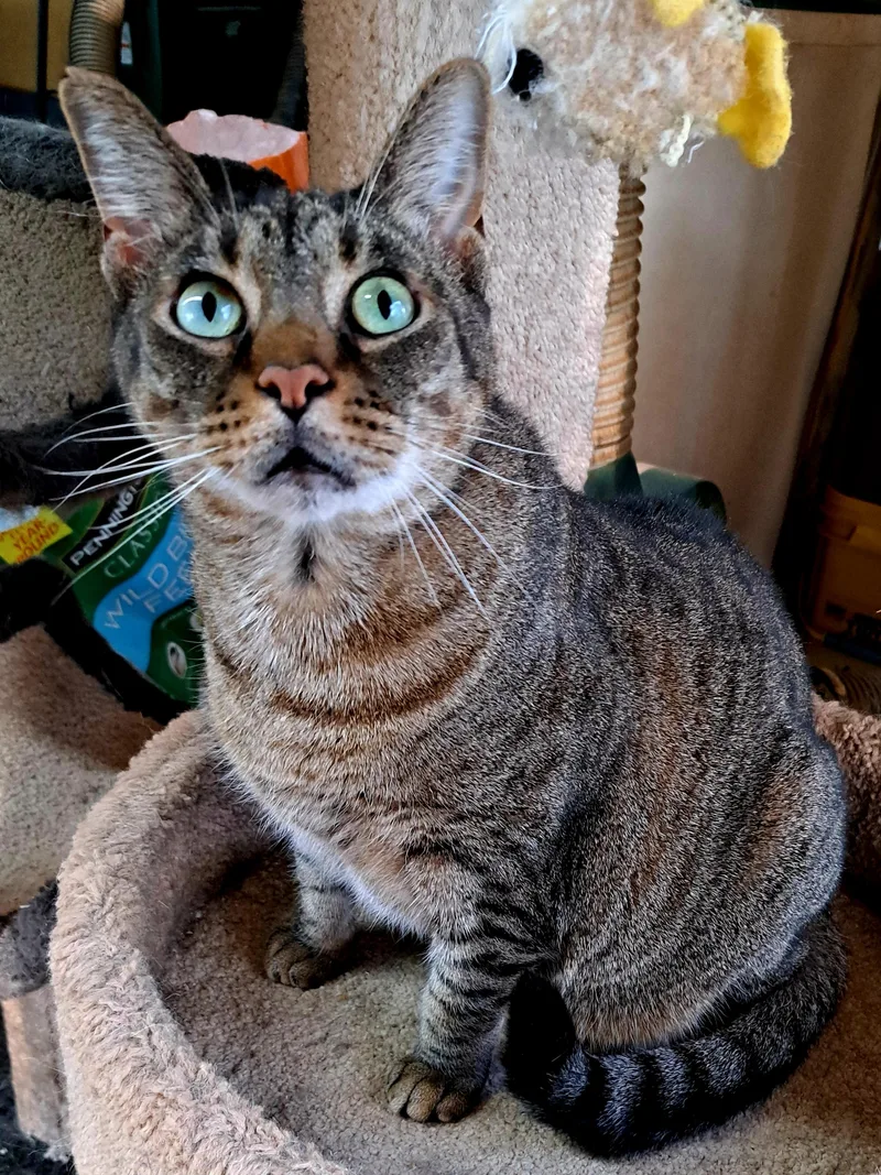 Sophie Faith thumbnail 2