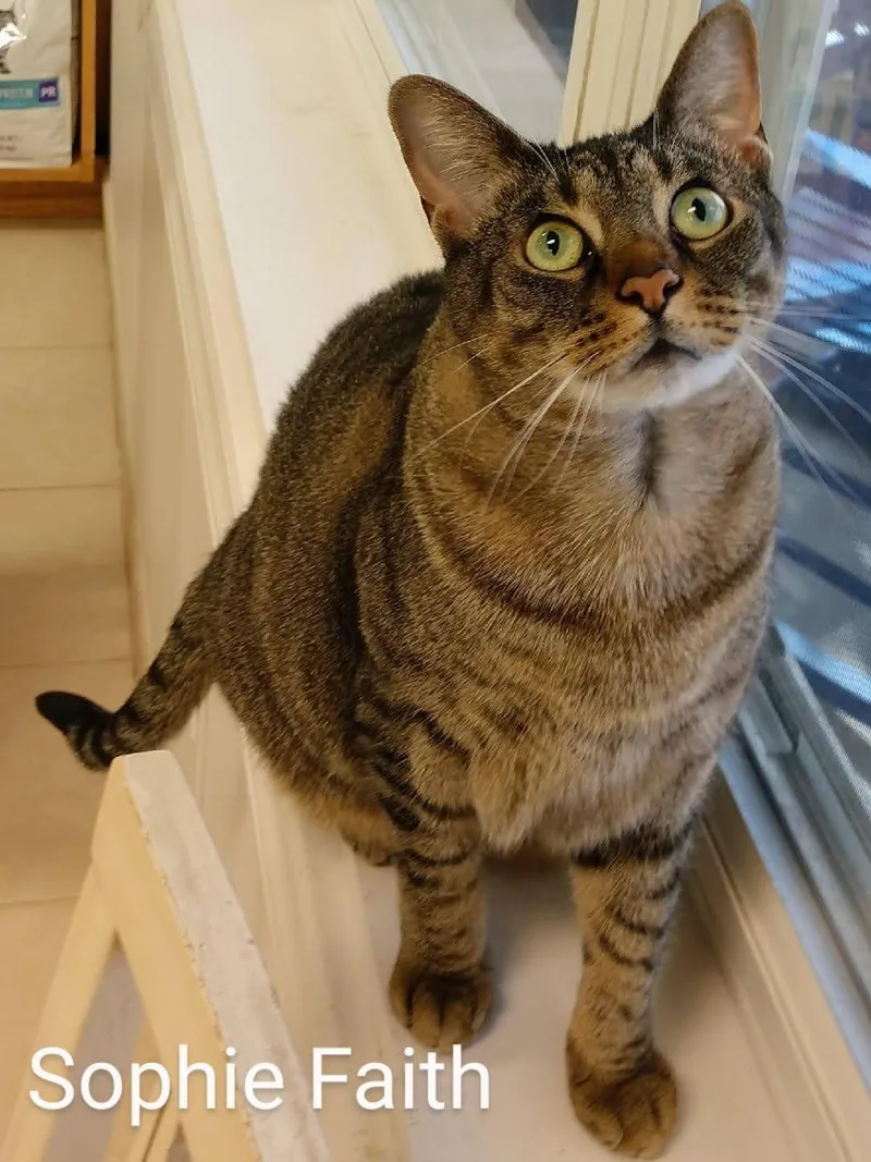 Sophie Faith thumbnail 3