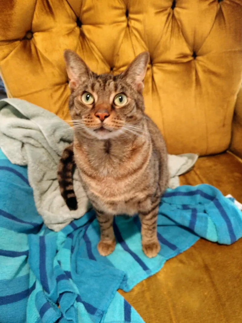 Sophie Faith thumbnail 5