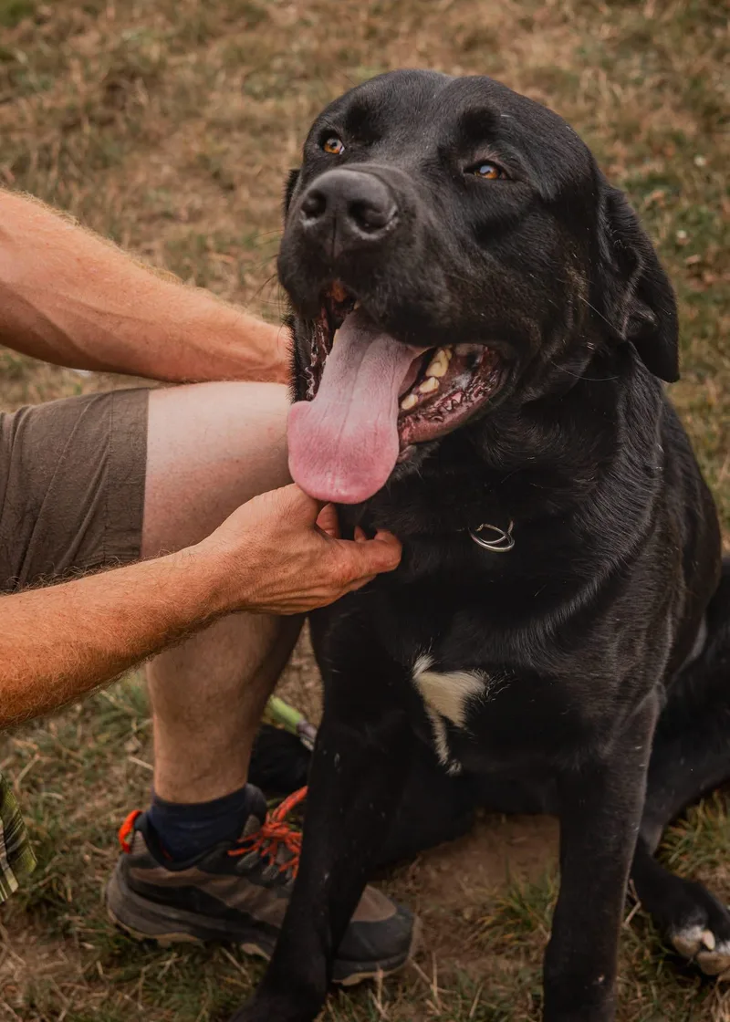 Zeus