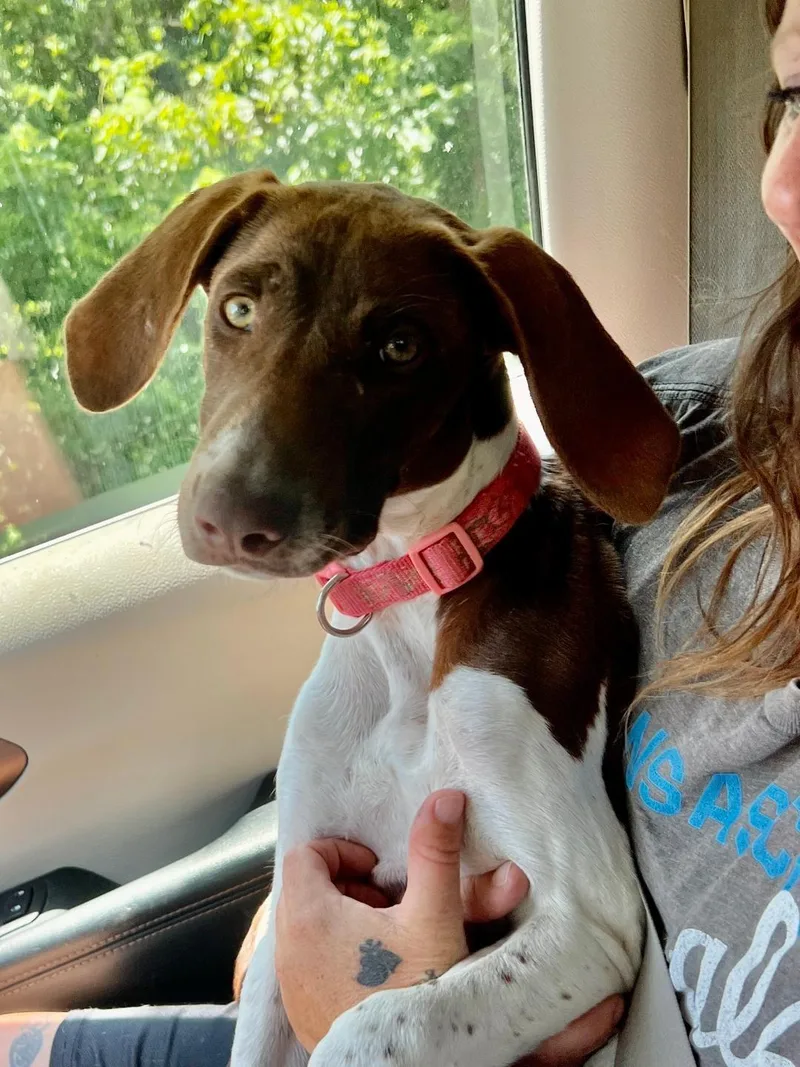 Daisey Mae thumbnail 2
