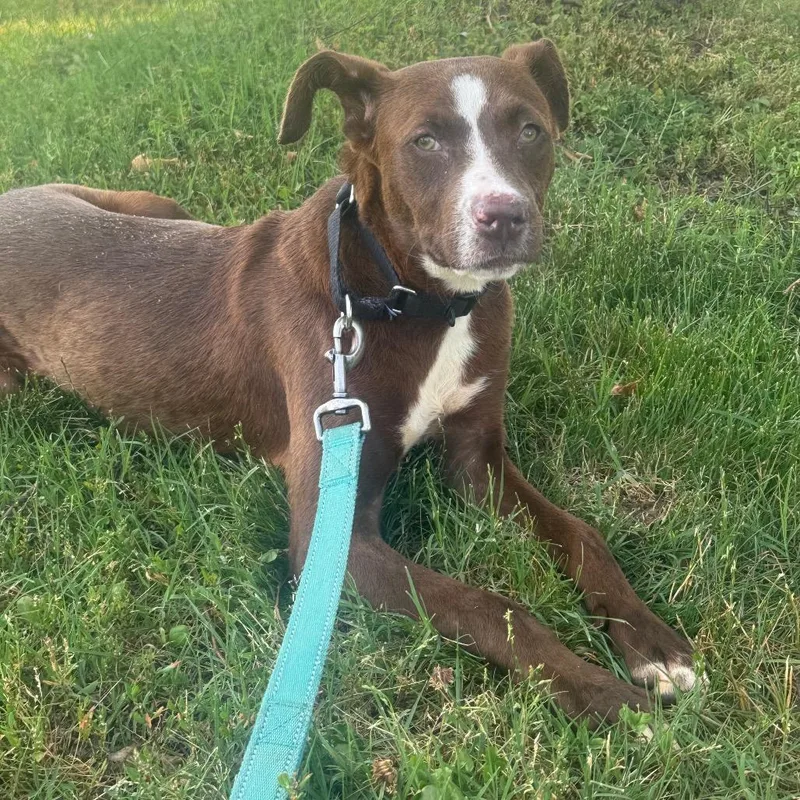 Zelda