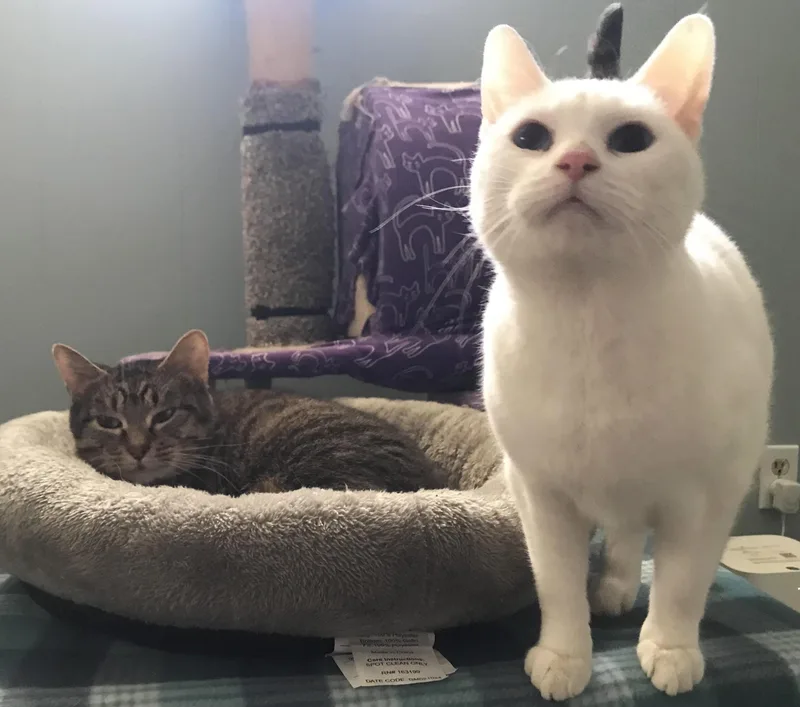 Nemo And Dory thumbnail 2