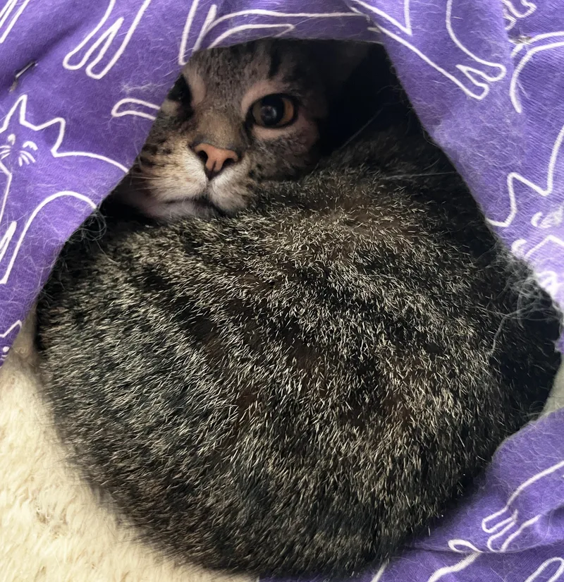 Nemo And Dory thumbnail 3