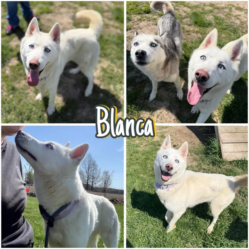Blanca thumbnail 5