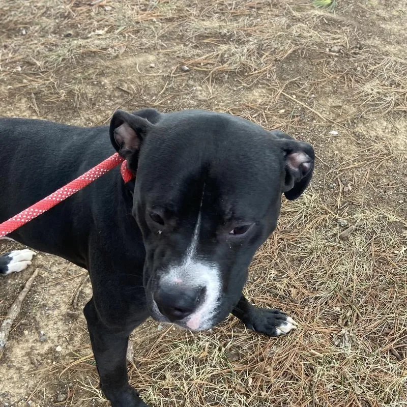 Milky Way thumbnail 2