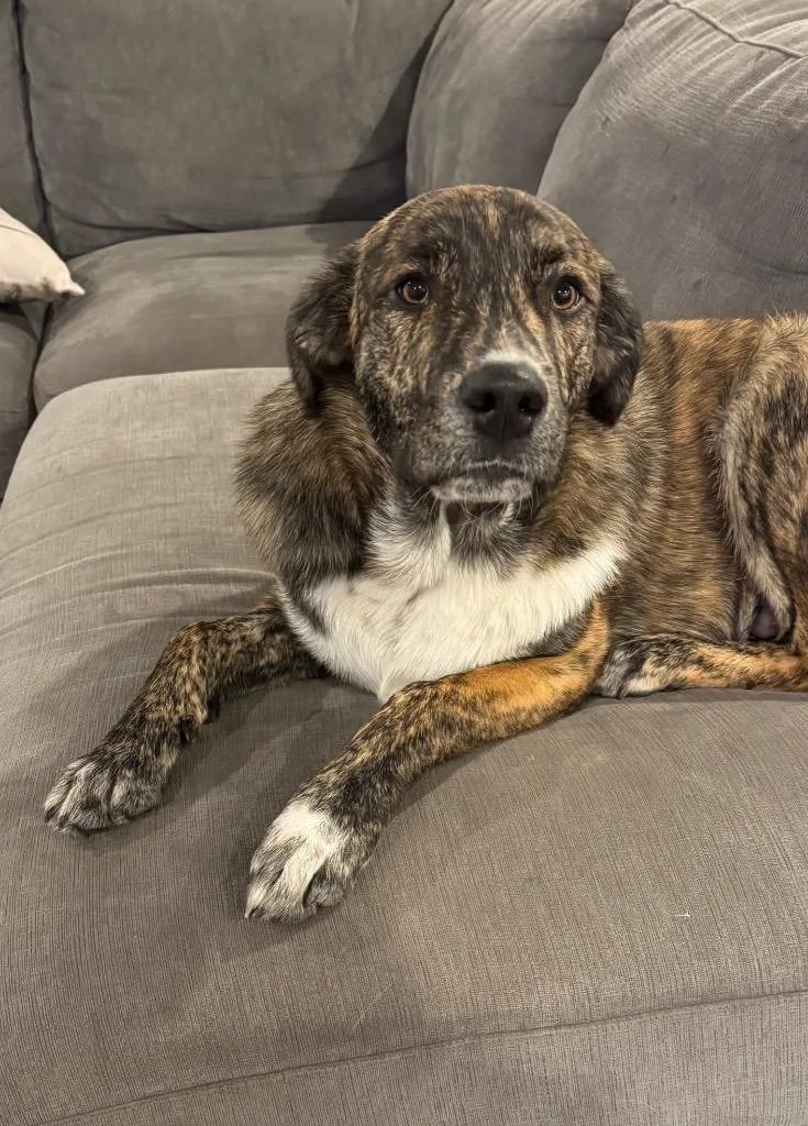 Hank Ray Ray thumbnail 2