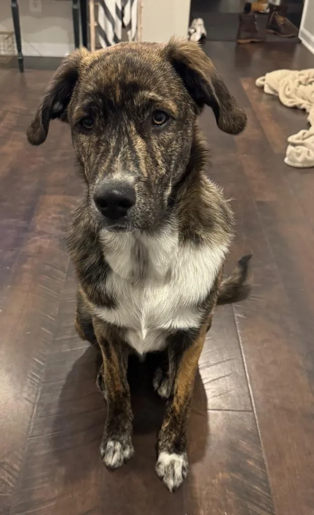 Hank Ray Ray thumbnail 3