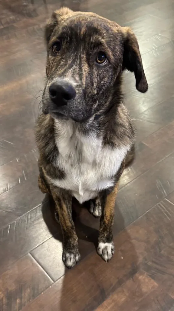 Hank Ray Ray thumbnail 4