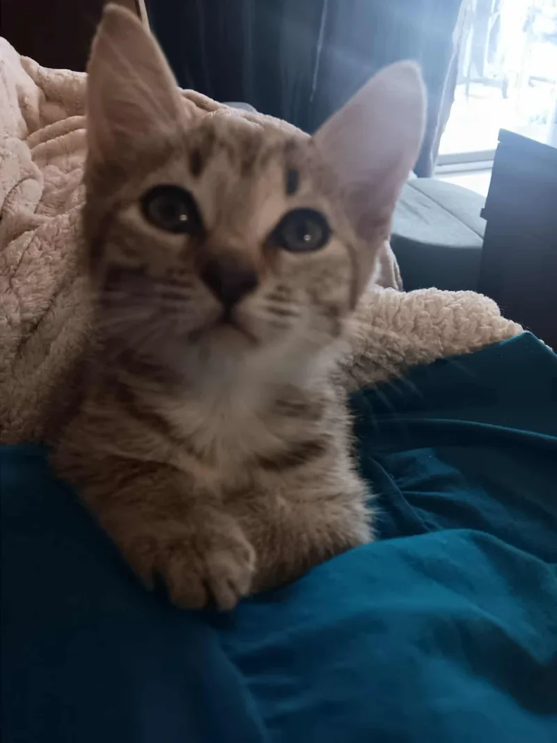 Tuna Turner thumbnail 2