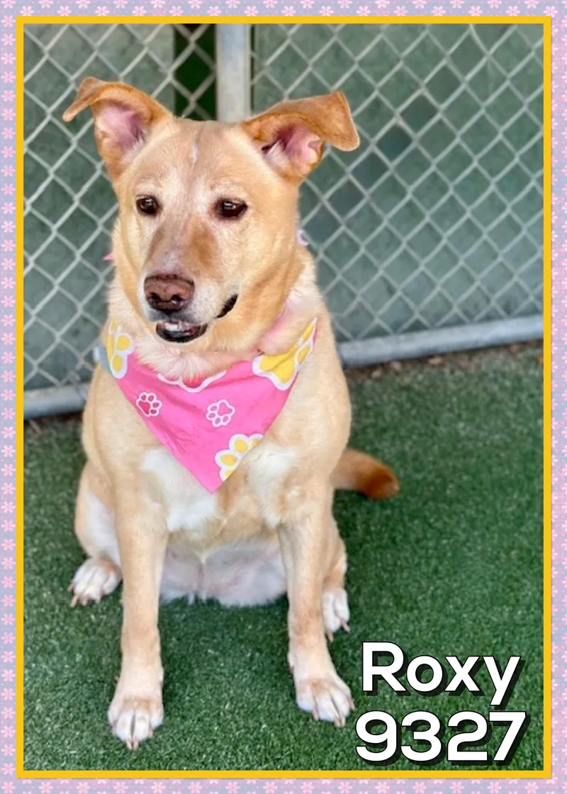 Roxy