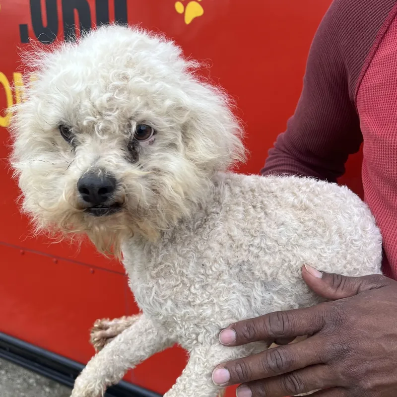 Grayson  Local April thumbnail 5