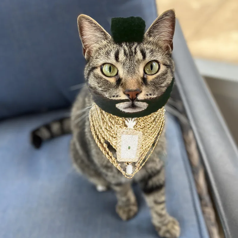 Mr. T thumbnail 5