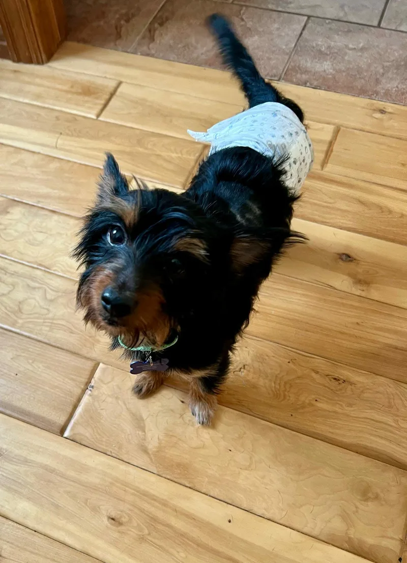 Diego