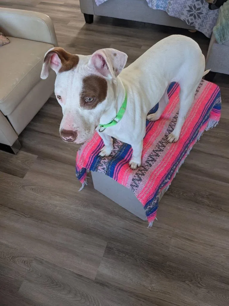 Zoe