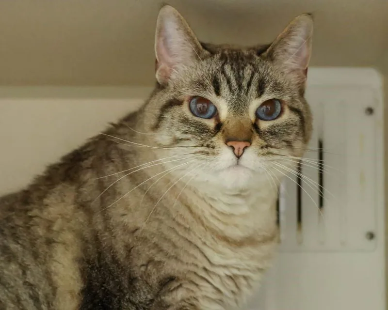 Mimi