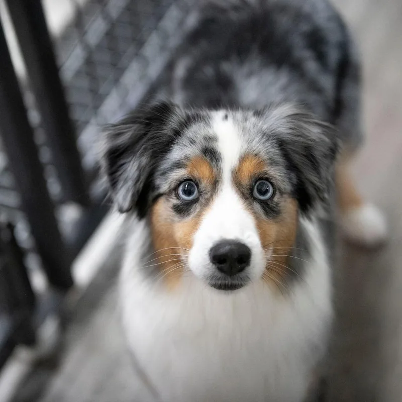 Sapphire thumbnail 2