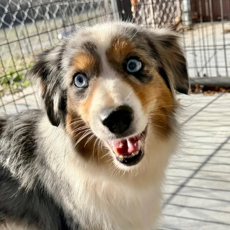 Sapphire thumbnail 4