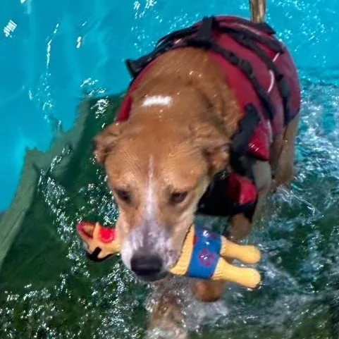 Juno thumbnail 2