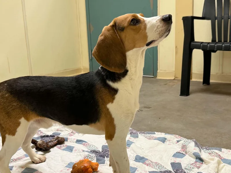 Jesse thumbnail 2